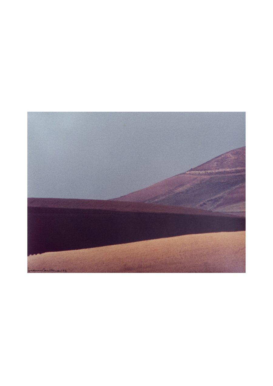 Franco Fontana - Landscape