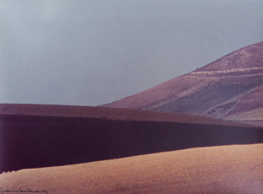 Franco Fontana - Landscape
