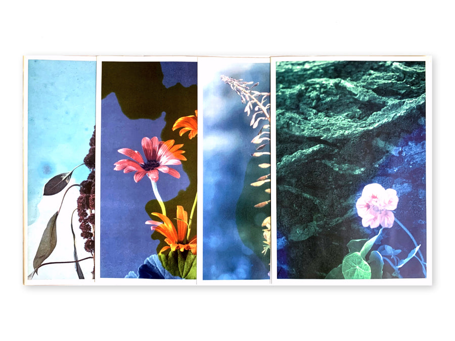 SIGNED - Marike Wessels - Keepsake / Monument