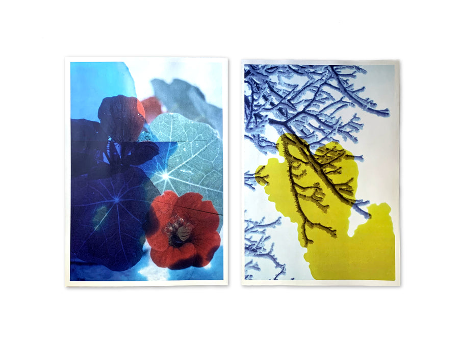 SIGNED - Marike Wessels - Keepsake / Monument