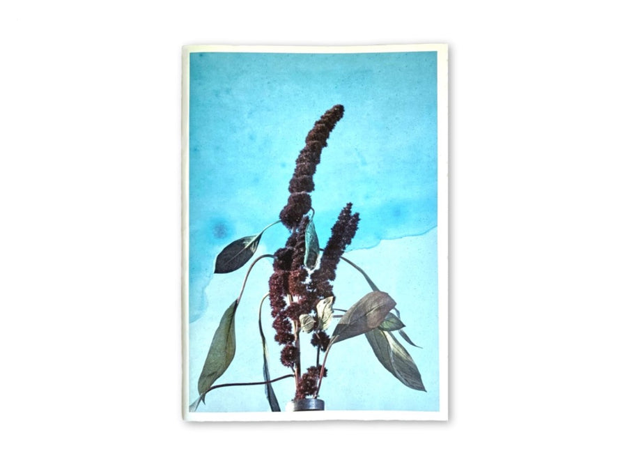 SIGNED - Marike Wessels - Keepsake / Monument