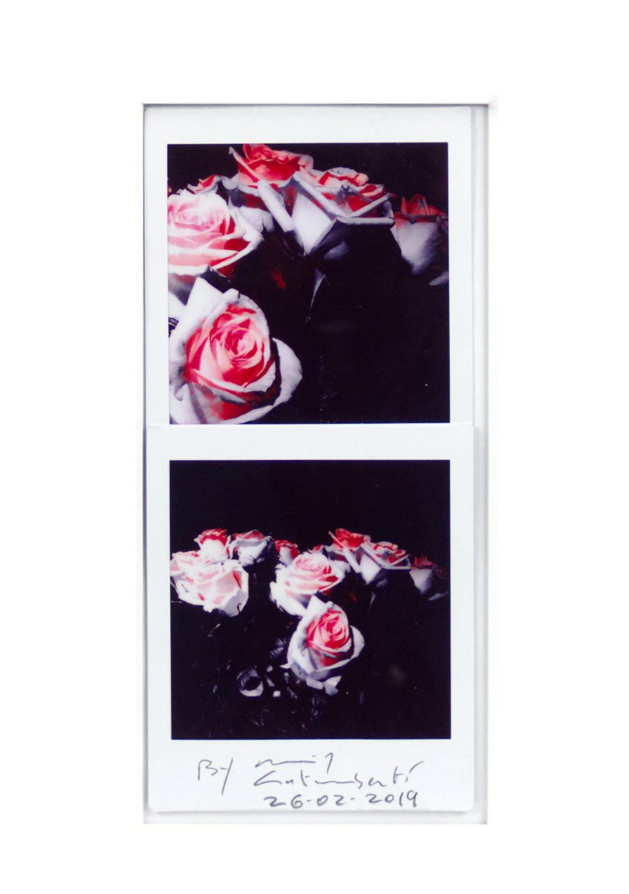 Maurizio Galimberti - Roses