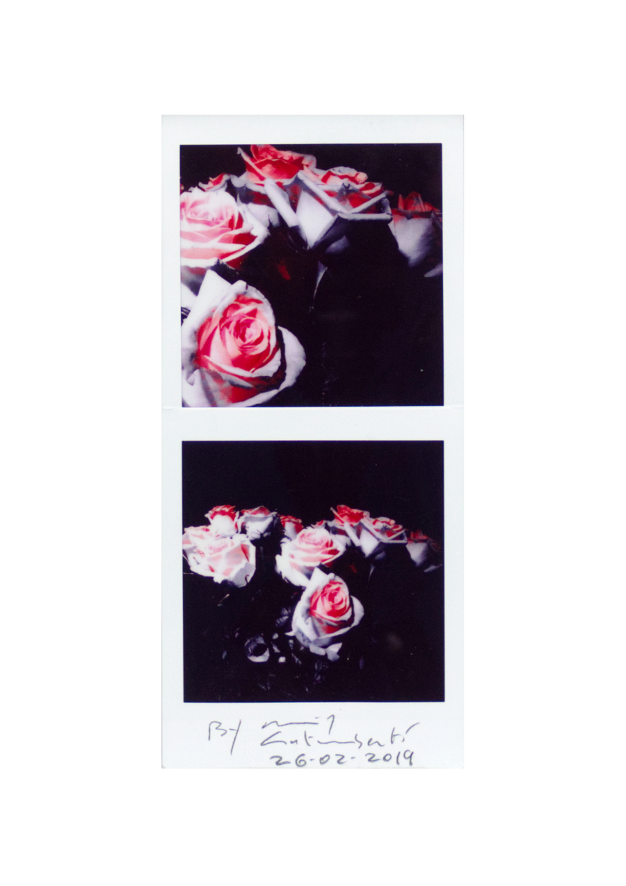 Maurizio Galimberti - Roses