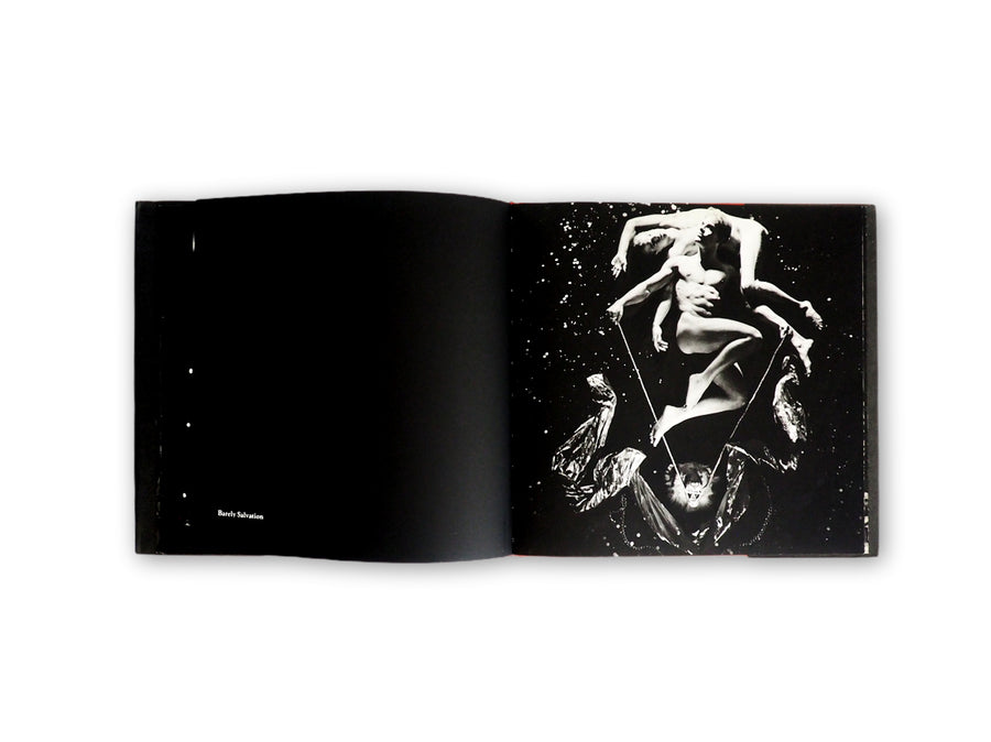 Steven Arnold - Epiphanies